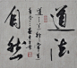 【网络书画协会】书法·【天道酬勤】·【道法自然】-艺海-搜狐博客