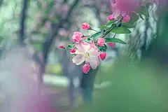 立春｜一年最美好的开始
