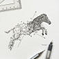 Geometric beasts zebra