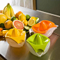 Citrus 2-piece Counter Juicer - Kiwi