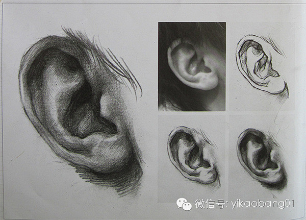 【素描人物】素描人物头像中耳朵的画法