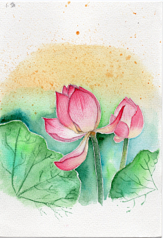手绘荷花-花瓣网|陪你做生活的设计师 | img059