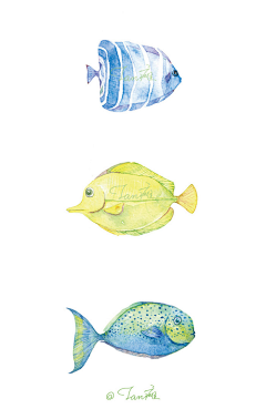ⅡⅠⅥ采集到插画