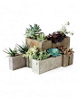 Cinder Block Garden: Small modular cinder block planter