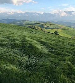 继续等待编辑采集到gif