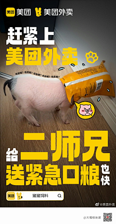 愤怒的大鱿鱼166采集到小红书封面