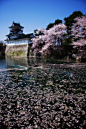 20120218213421_r4k8X.jpg (410×615)