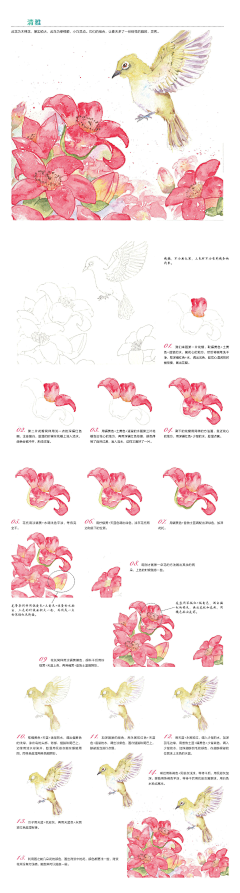 大鱼璇采集到绘画过程