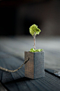 Modelling moss. Wood, chain, moss tree (hobby miniature).: 