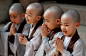 Photograph little monks  by Derek Winchester on 500px