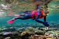 Young Woman Traveler Free Diving at the Great Barrier Reef - 创意图片 - 视觉中国
