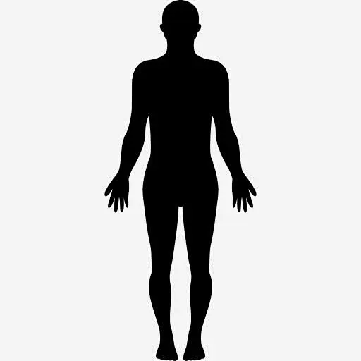 站在人体轮廓图标高清素材 人 人体的身体部位 形状 站立时 身体 轮廓 黑色 免抠png 设计图片 免费下载-花瓣网