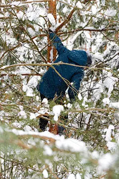 冬天暴风雪中，一个小男孩在森林里爬树。孩子挂在树上在雪天的背景下。积极地花时间在户外。寒霜天气在暴风