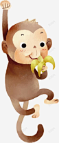 猴子吃香蕉 平面电商 创意素材
