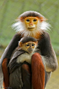 :-) Proud parent