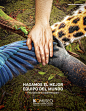 创意海报 公益广告 保护动物 合作加油鼓励
 手叠手在一起 动物肢体 动物手部 中心发散式构图 Biomuseo - día de la biodiversidad : Print ad for biomuseo