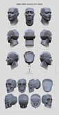 This contains an image of: head and skull planes