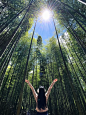 竹海避暑！全竹宴！没人！暑期快冲！ - 小红书
