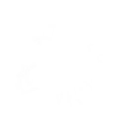 tx_ring_sxy_07