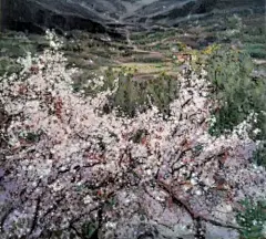 艺术作品 | 油画,国画,版画,雕塑,陶艺,设计,插画,摄影,动漫,工艺品,人体艺术,手工,首饰,服装,美术,手绘等艺术品-艺起来 - 专业的艺术社交电商及艺术版权交易平台。