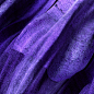 Image may contain electric blue, person and violet