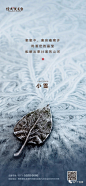 小雪 地产单图 24节气 小雪单图