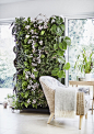 Botanical statement walls: the fastest growing interiors trend : What better way to give your home a spring update than with a botanical statement wall. Create a beautiful botanical backdrop for instant wow-factor.