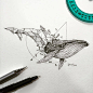 菲律宾画家 Kerby Rosanes 几何图形与动物融合插画Geometrica tattoo一半几何一半动物手绘图鲨鱼纹身插画