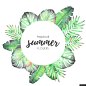 手绘 框架 绿叶 花卉 热带花卉 图案设计 花纹花边图案设计平面设计