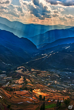 三番的鱼采集到风景