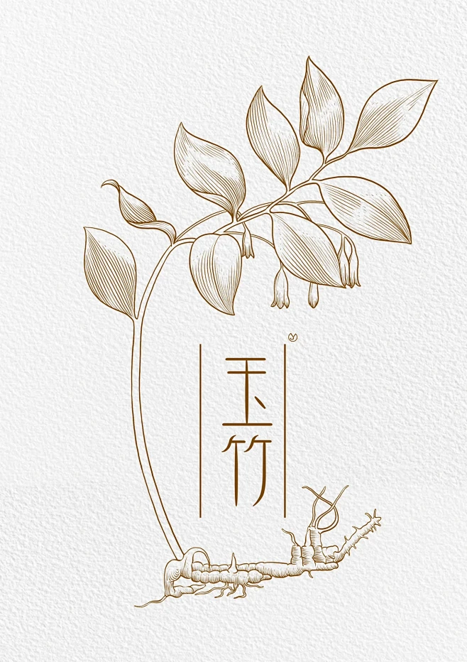 钢笔画｜植物
