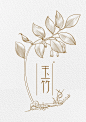 钢笔画｜植物