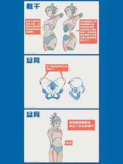 º匚º匚采集到人体教程类