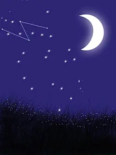 嗯我是画渣（狗头保命）
@我是堂即 关注可用 禁商