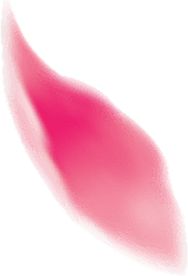 花瓣-2