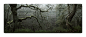 Dance off : Hi a bit more moodiness from Padley a few weeks back , 3 images at 50mm stitched in PS , thanks for looking :):)