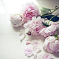 pink-peonies by {this is glamorous}