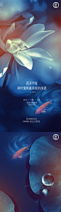 小暑