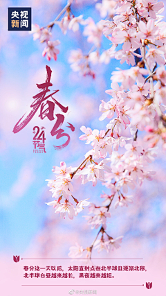 寂离采集到2025年海报