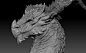 Dragon Head, Julian Santiago : This is a project I made to practice detailing and texturing a realistic creature asset. I also took this opportunity to finally try out Mari.