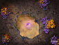76381906_media_181630301_Crater - Orb