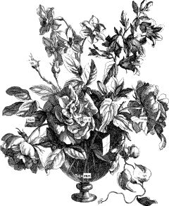 花瓶 花卉背景 花壁纸 花朵 插花 装饰 花的 美丽的花朵 花束