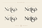 Valky Classic Modern Typeface :  Also Check Out Our New Font Paris Lamore here!! ❤️️ --- Valky is a Fancy Modern vintage serif typeface with beautiful ligatures, tons of special alternative glyphs, ornament and