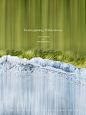 Reimagining Wilderness / 重构旷野 / S2 2022 / The Eternity & Impermanence / 敬请期待