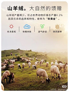 LKJ无言采集到面料图