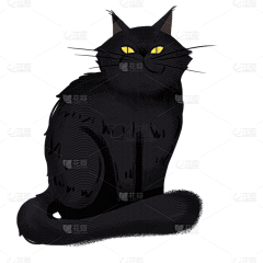 疯疯小卷儿采集到猫猫