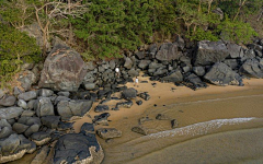 君小兰采集到海滩景观