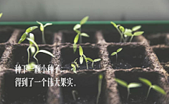 渴望的小白采集到文案储备