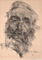 尼古拉费钦经典素描集
