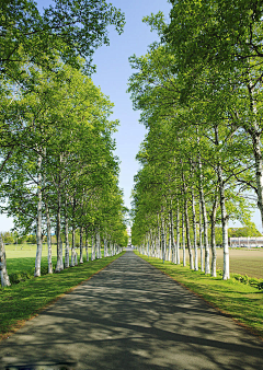 “逺汸”采集到道路空间